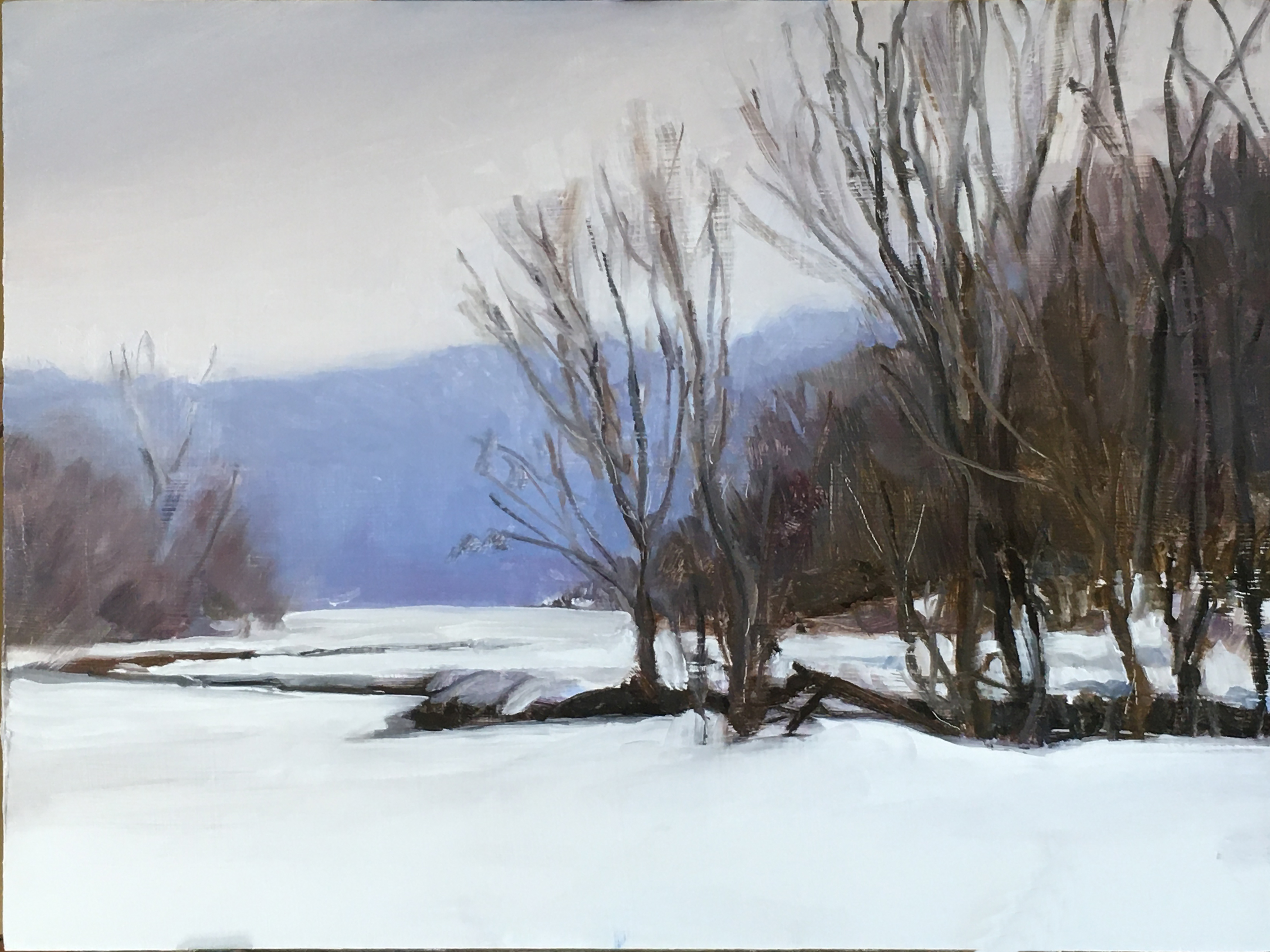 Winter Flood Plain